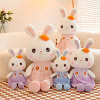 Cute Doll Rabbit Plush Toy Childrens Day Pillow Sweet Rabbit Girl Accompany Gift