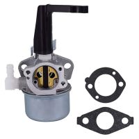 Carburetor for Briggs &amp; Stratton 696065 697422 110402 110412 215369 Tiller Engine Spare Carburetor