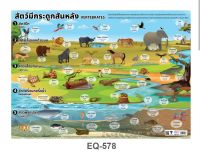 สัตว์มีกระดูกสันหลัง  EQ 578  โปสเตอร์สื่อการสอน  2 ภาษา หุ้มพลาสติก ขนาด 50 * 70 cm