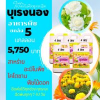 พร้อมส่ง? บุเรงนอง ยกลัง 5 แกลลอน ขนาด 4 ลิตร อะมิโนพืช+สาหร่าย+ไคโตซาน+น้ำตาลทางด่วน อาหารพืช ใช้ฉีดพ่นทางใบ ดอกดาวเรือง ดอกมะลิ