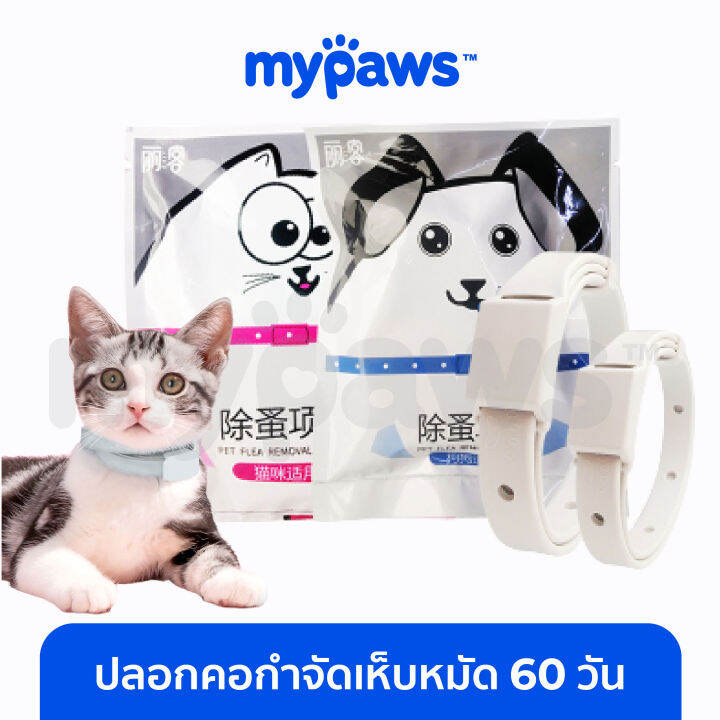 my-paws-ปลอกคอกำจัดเห็บหมัด-c-ปลอกคอแมว-ปลอกคอสุนัข-ป้องกันได้ยาวนานถึง-60-วัน