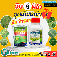 ? ชุดเก็บหญ้า1 ไพซีโร+แซดบีควิน ขนาด 500ซีซี+100กรัม กำจัดหญ้าข้าวนก หญ้าเดือย กก ผักปอดนา