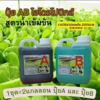 ปุ๋ยไฮโดรโปนิกส์ ปุ๋ยAB ขนาด1ลิตร และ ขนาด 250mlปุ๋ยน้ำ ปุ๋ยเอบี ปุ๋ยผักสลัด ปุ๋ยผักHydroponics สูตรปรับปรุงใหม่