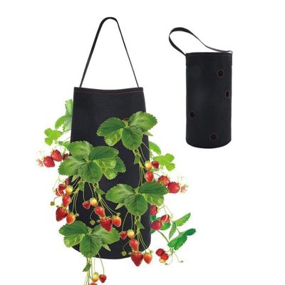 [Like Activities] Strawberry Planter Bag HangingGrowing Bags WithPlants Pot For สตรอเบอร์รี่ FabricPots สำหรับการเจริญเติบโต