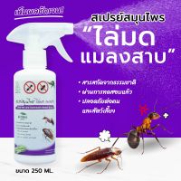 ไล่มด แมลงสาบ SAMUNPINE สเปรย์สมุนไพร ขนาด 250 มล. /Anti-Ant and Cockroach Herbal Spray 250 ml. (ไล่ได้จริง / ไร้สารเคมี / เห็นผลชัดเจนหลังใช้)