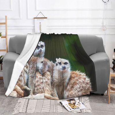 （in stock）Meerkat Family Throwing Blanket, Soft and Comfortable Throwing Blanket Cute Meerkat Plush Warm Sofa Bed Blanket Adult Youth Queen King size（Can send pictures for customization）