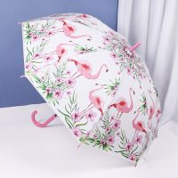 【Ink and green】 SAFEBET Flamingo Umbrella Dollumbrella กรงนกกรงนกด้ามยาว