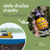 BIOGROW สารสกัดจาก BLACK PEAT 0.5 ลิตร