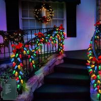 ZZOOI LED String Lights Outdoor Christmas Decorations 5M 50 LEDs Strawberry Battery Operated Fairy Strings Lights 8 Modes Garland