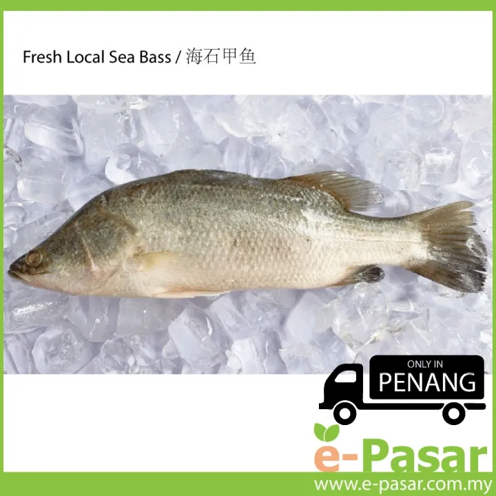 Seabass in malay