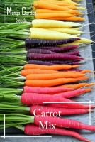 Carrot Mix Seeds - 100 Seed *Pot Friendly* - - Dark Purple, Yellowstone, Orange, Red Sun Benih sayur sayuran Sesuai Untuk Pasuต้นไม้มงคล เมล็ดพันธุ์ผัก เมล็ดดอกไม้ ไม้ประดับ เมล็ดพันธุ์ ต้นไม้