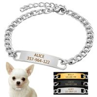 【CW】 Dog Training Collar with ID Dog Tag Snake P Slip Chians Choke Collar Metal Chain For Small Medium Pets 22 30cm Black Gold Silver