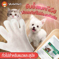 YUGOGO ถุงมือสัตว์เลี้ยงแบบใช้แล้วทิ้ง,ถุงมือทำความสะอาดระงับกลิ่นกายสำหรับแมวและสุนัข, ถุงมือแบบไม่ต้องซัก ,ต้านเชื้อแบคทีเรียและระงับกลิ่นกาย （2 pieces）