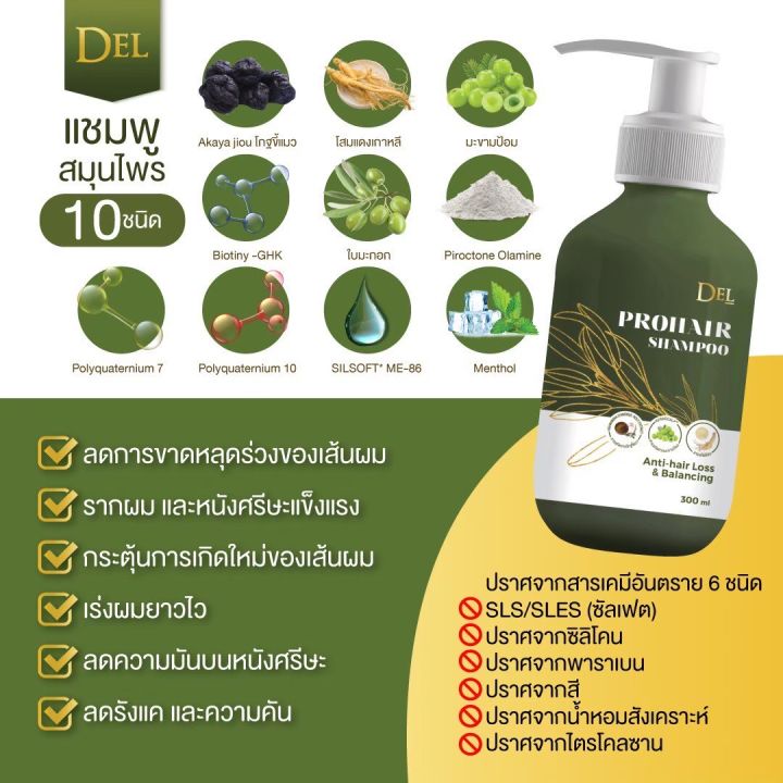 del-แชมพู-และครีมหมักผม-เดล-บำรุงเส้นผม-ลดปัญหาผมชี้ฟู-ผมร่วง