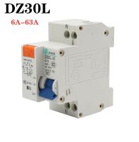 6A-63A DZ30L EPNL DPNL 230V 1P N Residual Current Circuit Breaker With Over And Short Current Leakage Protection RCBO RCCB MCB