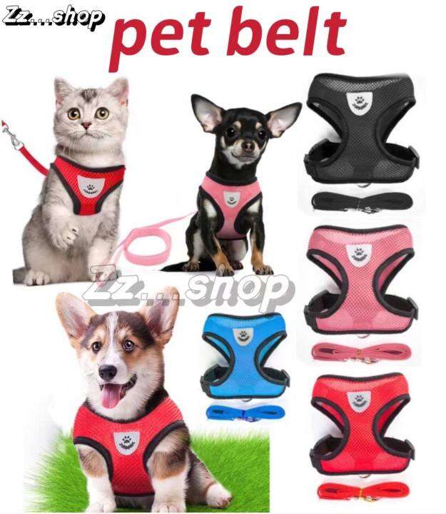 Pet Leash Dog Harness Leash Mesh Collar Leash Strap Complete Set Pet
