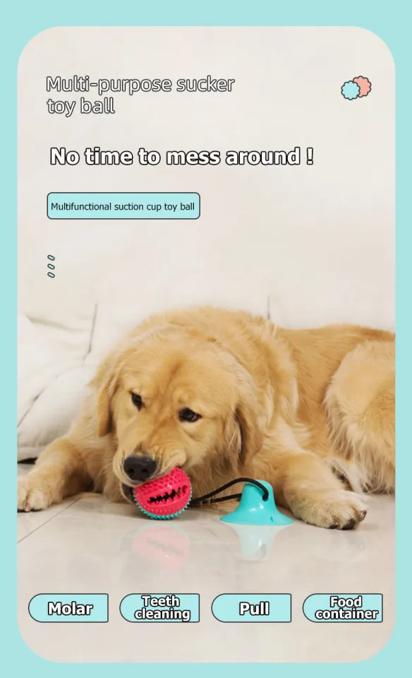Dog Interactive Toys Bite Resistant TPR Rubber Chew Sucker Pet Molar  Squeaky Ball Toy Puppy Pull