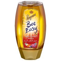 Promotion ⏰ Langnese Bee Easy Bijenhoning Miel 250g.