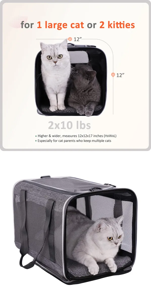 Top Load 2 Carrier Cats Cats, Com Dogs Large, Medium Pet Small and for with  レビューを書けば送料当店負担 Pet