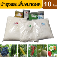 ปุ๋ย ABC Hydro Fruit สำหรับไฮโดรฯ น้ำหยด ชนิดแห้ง บำรุงผล ชุดขนาด 10 ลิตร (A 10 ลิตร,B 10 ลิตร และ C 10 ลิตร)