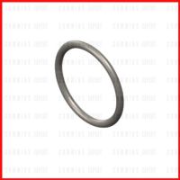 โอริงแป๊ปราวน้ำมันโซล่า KTA19,KTA38,KTA50  |  Seal O Ring  3001340