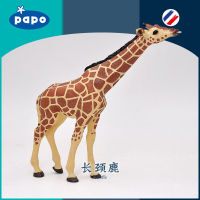 ? Sile Toy Store~ French Papo Head-Up Male Giraffe 50236 Simulation Wild Animal Model Toys Childrens Cognitive Gift