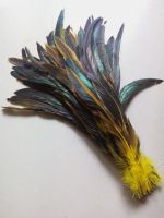 New! Wholesale high quality 50 pc yellow rooster feathers 12-14 / 30-35CM DIY jewelry decoration art props accessories