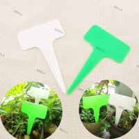 50pcs T-type Plastic Nursery Garden Tag Flower Label Plant Pot Marker for Plants DIY Garden Decoration Tool Writing 6TH