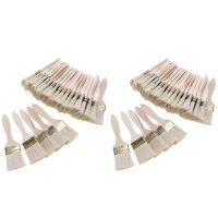 48 Pack of 2 Inch (48mm) Paint Brushes and Chip Paint Brushes for Paint Stains Varnishes Glues and Gesso