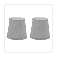 2Pcs Bubble Type Lamp Shade Simple Lampshade Ceiling Lamp Cover Light Accessory for Home Cloth