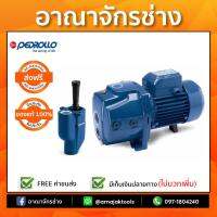 ปั้มเจ็ทคู่บ่อบาดาล PEDROLLO 1แรงม้า JDWM1A/30