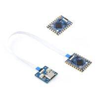 บอร์ดพัฒนา RP2040-Tiny น้ำหนักเบา Raspberry Microcontroller Board Dual-Core Arm Cortex-M0 Processor