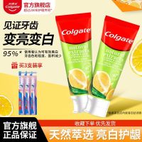 toothpaste lemon cool bright white to tooth stains moth protection gum breath fresh family pack flavor students