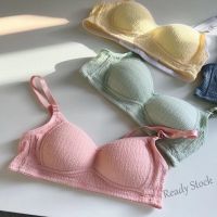 【Ready Stock】 ❉ C15 Push up bra solid color thin no steel ring push-up anti-sagging underwear