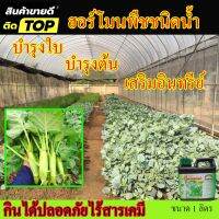 [ปลอดภัย100%] อาหารพืชชนิดน้ำ บำรุงต้น ใบ ฮอร์โมนพืช เหมาะกับพืชที่ทานใบ คะน้า กะหล่ำ ผักบุ้ง พืชทานใบทุกชนิด อาหารเสริมพืชผลิตจากสารอินทรีย์ มั่นใจ100% ปลอดภัยต่อคนและรักสุขภาพ ผู้สูงอายุ และคนทุกวัย ขนาด 1000 cc มีเก็บเงินปลายทาง