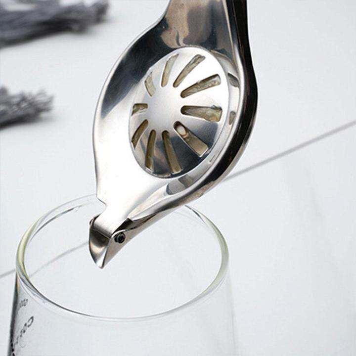 bird-shape-lemon-juicer-stainless-steel-lemon-tea-infuser-tea-fruit-juicer-lemon-net-leak-m8w5