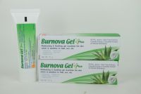 Burnova Gel Plus สีเขียว สูตรปกติ เบอร์นโนว่า เจล พลัส 25 กรัม