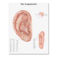 [HOT ZUQIOULZHJWG 517] WANGART Anatomical Charts โปสเตอร์หูฝังเข็มหู Anatomy โปสเตอร์ภาพวาดผ้าใบภาพผนังสำหรับ Medical Education