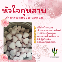 หัวใจกุหลาบ กุหลาบ รักมิตร rose ปุ๋ยกุหลาบ