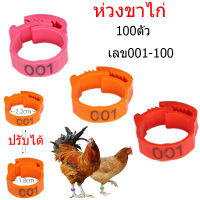 สังเวียนไก่ชน ห่วงขาไก่ 100 ตัว/ เลข01-100 ห่วงขาไก่ชน แหวนขาไก่ แหวนไส่เท้าไก่ อุปกรณ์ไก่ชน ห่วงขาไก่ ห่วงขาเป็ด ห่าน ห่วงขาพิราบ