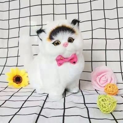 Will call the cat cat simulation animal model hardware static place childrens toy dolls to send his girlfriend