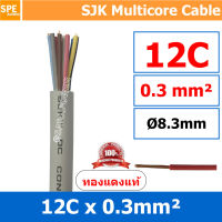 [ 1 เมตร ] SJK 0.3 Sq.mm. 12C x 0.3 สายมัลติคอร์ 12 คอร์ Multicore Cable สาย AV Control Cable SJK สาย คอนโทรล 0.3 sq.mm. Multi Core Cable 0.3mm Control Signal Power Control Cable Control Wire สายคอนโทรล สายมัลติคอ สายสัญญาณ สายคอนโทรล เบอร์ 0.3 มม สี เทา