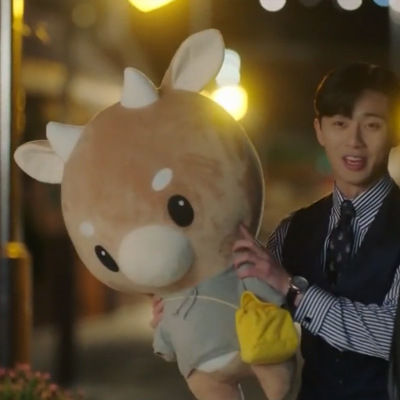 TV Lovely Whats Wrong With Secretary Kim Hard Caw Pet Doll Plush Korean Drama Stuffed Child Toys Birthday Christmas Gift Pillow