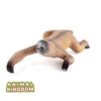 Animal Kingdom - โมเดล Sloth สล๊อธ ขนาด 17.50 CM (จากสงขลา)