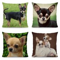 [HOT LZLLZKLKLWGH 559] XUNYU Chihuahua Dog หมอนครอบคลุมสัตว์เบาะรองนั่งหมอนตกแต่งสำหรับห้องนั่งเล่น45X45ซม. GXK02