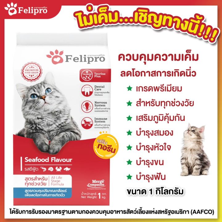 42pets-felipro-อาหารแมว-เฟลิโปร-รสซีฟู๊ด-500g