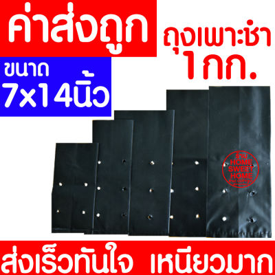 *ค่าส่งถูก* ถุงเพาะชำ 7x14นิ้ว (1กก.) ถุงเพาะ ถุงเพาะกล้า ถุงชำ ถุงดำเจาะรู ถุงปลูกต้นไม้ เนื้อมัน เหนียว หนา ถูกที่สุด