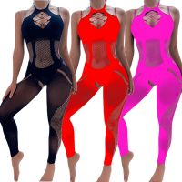 New Arrive Nightgown for Wife Bodytsockings Girlfriend Pajamas Gifts Sexy Sleepwear Fishnet Bodysuits Women Transparent Lingerie