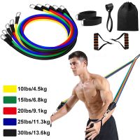 Resistance Band Crossfit Training Muscle Strength Gym Equipment Fitness Yoga Exercise Pull Rope Rubber Elastic Training Expander