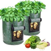 [ELEGANT] 3-10 Gallons Potato Grow Bags PE Vegetable Planter Growing Bag DIY Fabric Grow Pot Outdoor Garden Pots Garden Tools Veget Garden